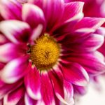 CBA篮球赛事高清直播平台APP下载 6z9jn