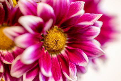 CBA篮球赛事高清直播平台APP下载 CBA篮球赛事高清直播平台APP下载