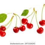 CBA网络直播火爆开启,精彩对决不容错过! 81zixy5sv9