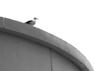 至尊国际app下载全流程操作指南与安全使用注意事项 至尊国际app下载全流程操作指南与安全使用注意事项