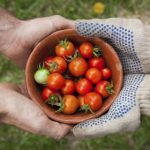 至尊国际平台的注册流程与新手指南全解析 b62lfn