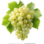 英亚体育官方最新动态:活动福利、注册流程与账户安全 mi92qis