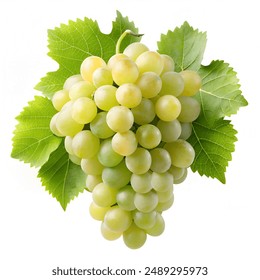 英亚体育官方最新动态:活动福利、注册流程与账户安全 英亚体育官方最新动态:活动福利、注册流程与账户安全