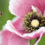 CBA联赛男篮巅峰对决现场直播 phx56bl