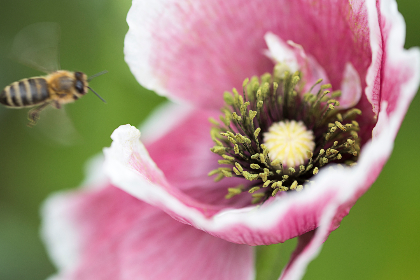 CBA联赛男篮巅峰对决现场直播 CBA联赛男篮巅峰对决现场直播