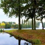 CBA联赛北京队焦点战直播:京粤大战一触即发 s6kit