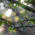 《夫视5台直播》精彩赛事不容错过 12d9e