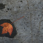 《天生我财》独家直播在线观看高清完整版 a10vad