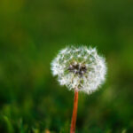 《奔跑吧兄弟》第二期全网独家直播精彩看点 oyju6z1